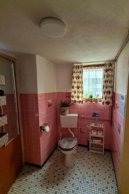 Idyllische Kleine Ferienwohnung Im Schwarzwald Friedenweiler Exterior foto
