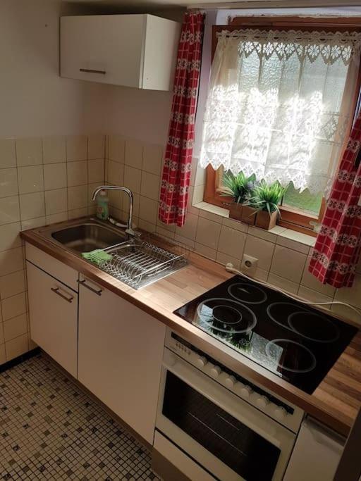Idyllische Kleine Ferienwohnung Im Schwarzwald Friedenweiler Exterior foto
